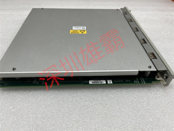 350062.袁翠竹.2022.8.4 (19).jpg