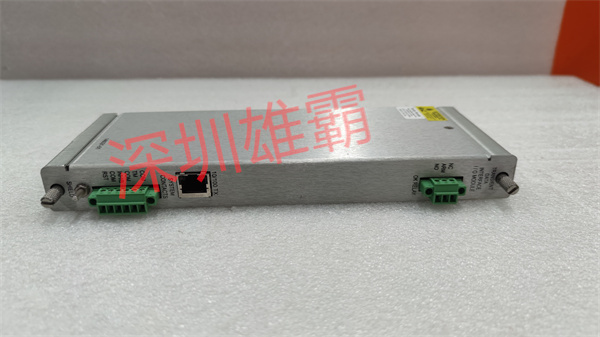 BENTLY 146031-01 PLC瞬態(tài)數(shù)據(jù)接口