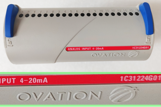 歡呼 1C31224G01 歡呼 1C31224G01