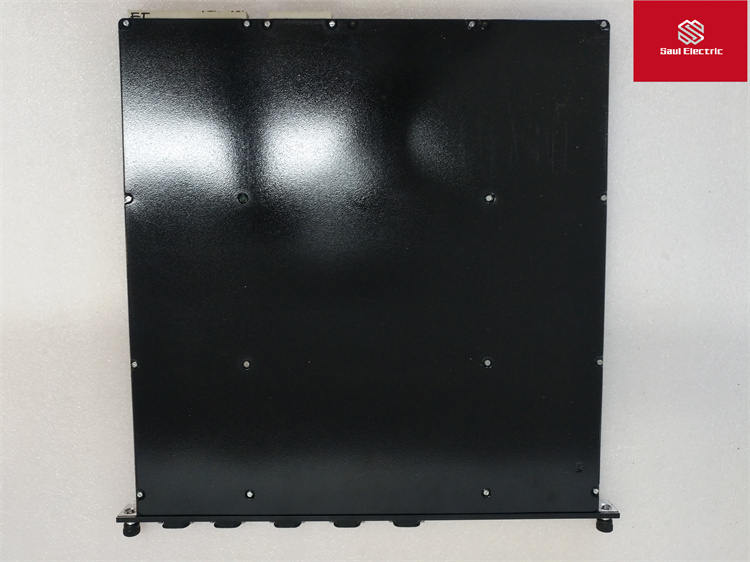 TRICONEX 4351B (4).jpg