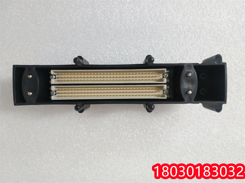 TRICONEX 2000417 端子模塊 2000418