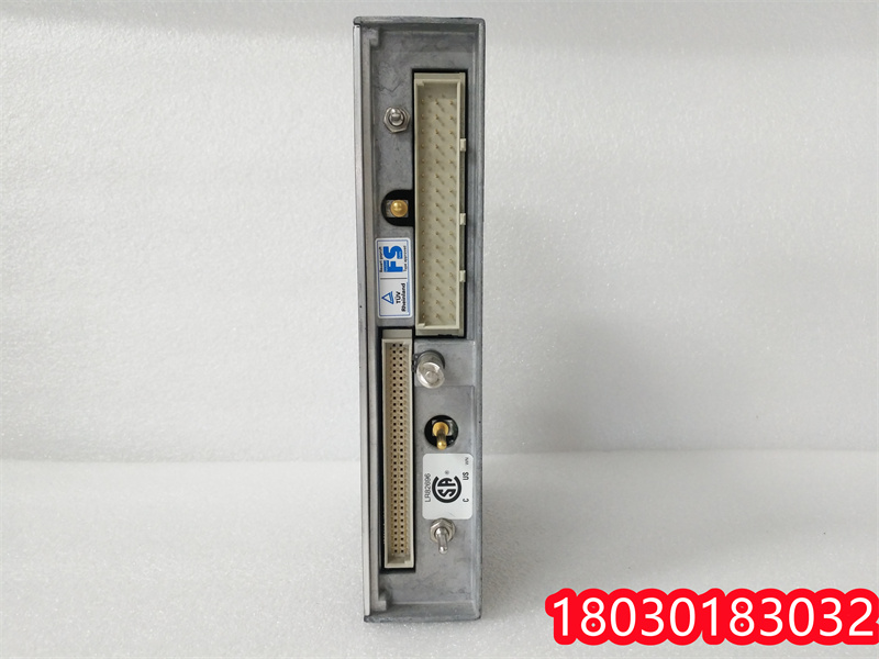 TRICONEX 3351 (4).jpg