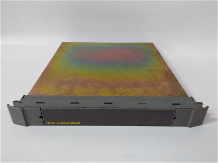 ICS TRIPLEX T8191 系統(tǒng)模塊