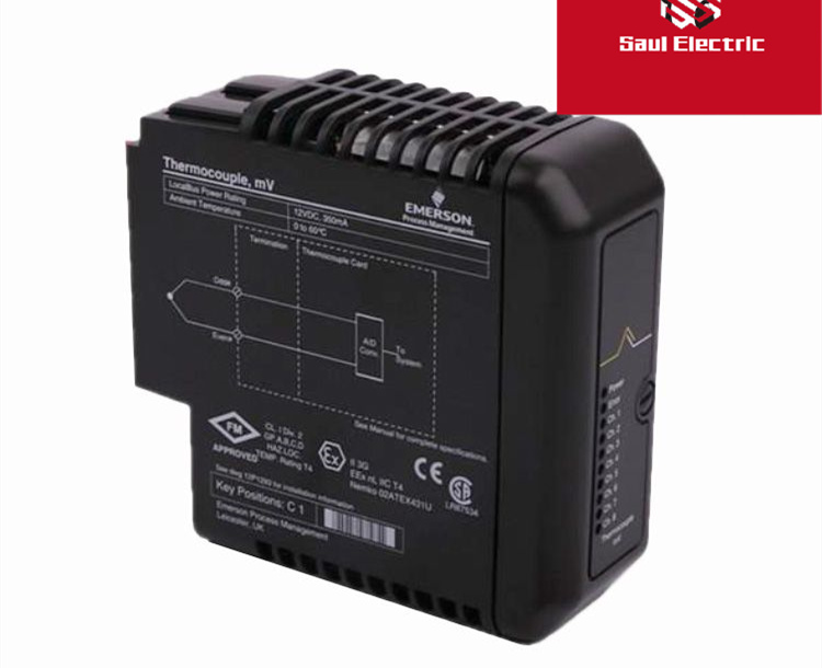 DCS/分散型控制系統(tǒng)Deltav VE4005S2B1標(biāo)準(zhǔn)I/O端子單元