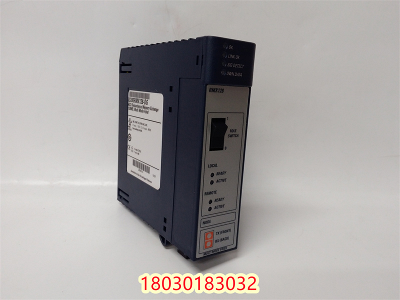 GE IC695RMX128 控制模塊