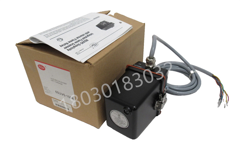 Fireye火焰探測(cè)器65UV5-1004EQD燃燒器