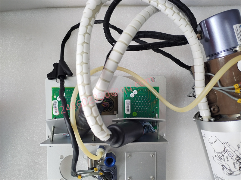 PFSA103D.李遠(yuǎn)明.20240417 (3).jpg